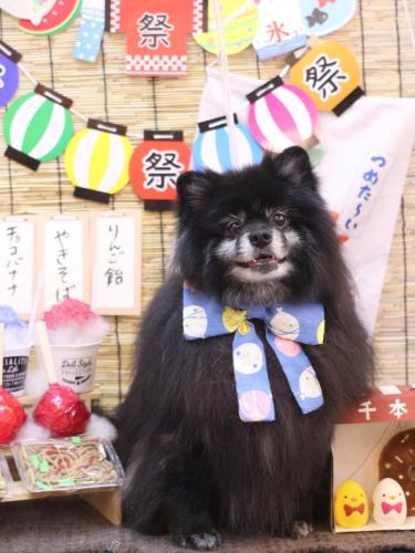 20240720ふわりちゃん